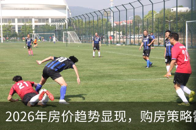 2026年房价趋势显现，购房策略需调整