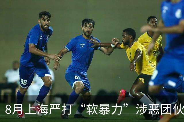 8月上海严打“软暴力”涉恶团伙，扫除19个犯罪组织