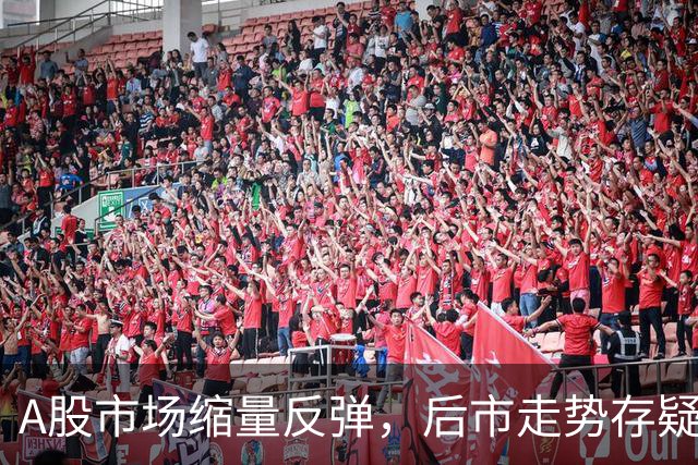 A股市场缩量反弹，后市走势存疑